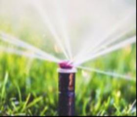 Sprinkler on lawn